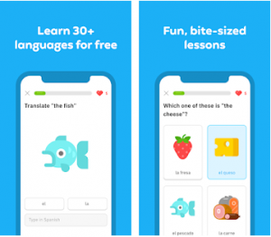 Duolingo Mod APK 2022(Unlimited Hearts, Gems, & Premium Unlocked) 4