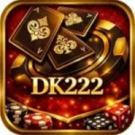 DK222 Game